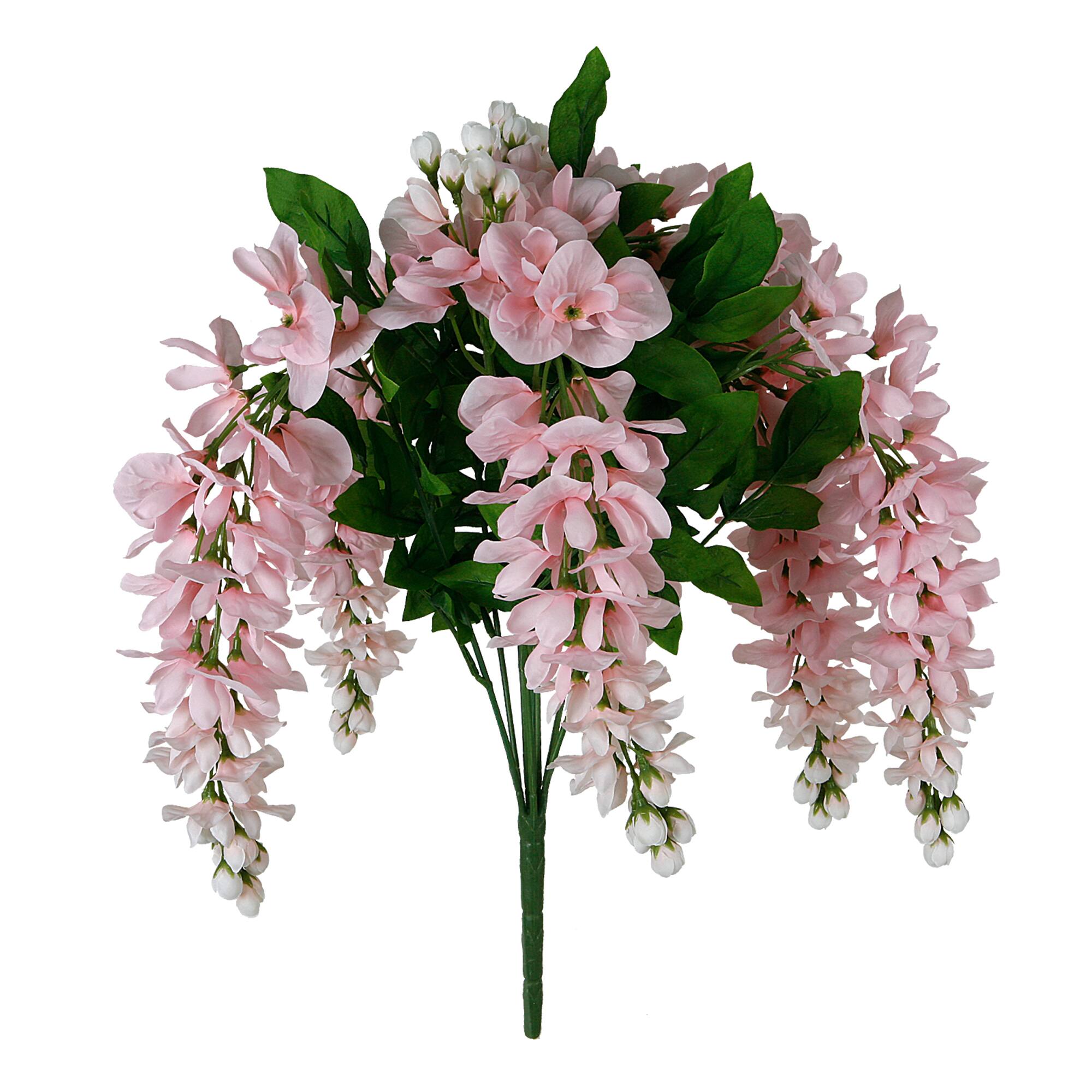 12 Pack: Pink Wisteria Bush by Ashland®
